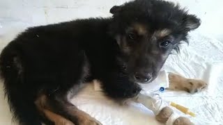 Письмо с требованием и угрозами. Будни Лохматой Души.