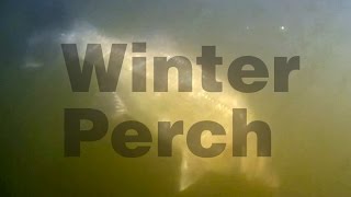 Canoe Fishing: Winter Perch