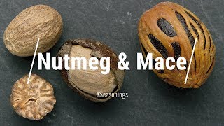 ? All About Nutmeg & Mace
