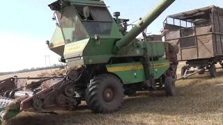 Уборка урожая. Камышинка август 2010г. часть-4. НИВЫ.Видеоролики Зубко Сергея Алексеевича!!!!!!!