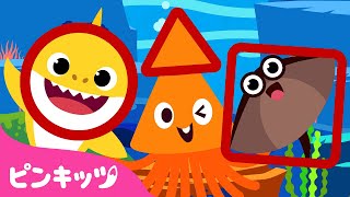 かたちのなまえ ???? | 歌で覚えよう！ | 形の歌 | ピンキッツ! 童謡と子どもの動画