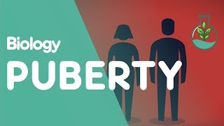 Puberty: The Hormones Involved | Physiology | Biology | FuseSchool