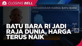 Harga Terus Naik, Batu Bara Indonesia Jadi Raja Dunia
