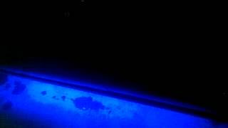 RGB подсветка днища. Лада гранта