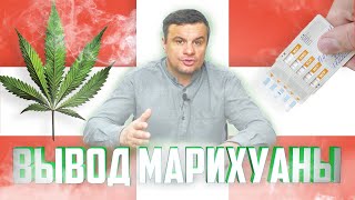 ?КАК ВЫВЕСТИ МАРИХУАНУ из организма? Как пройти ТЕСТ НА НАРКОТИКИ и сколько держится марихуана?