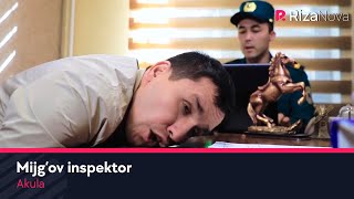 Akula - Mijg'ov inspektor | Акула - Мижгов инспектор