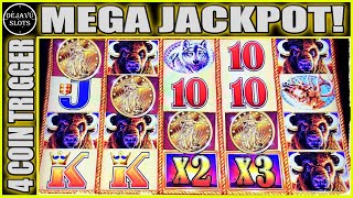 MY BIGGEST JACKPOT ON BUFFALO GOLD