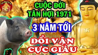 Sách Trời Đã Định Tân Hợi 1971 Đến Tuổi 55 Chuyển Vận Giàu Sang, Hưởng Phúc AN NHÀN