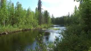 Жаркое лето 2011го - в тайгу на рыбалку / Hot Northern summer. Fishing on the taiga rivers