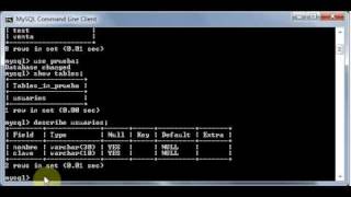 Insertar Datos en una tabla MySQL