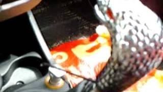 Cobra gearstick knob