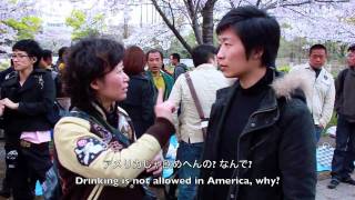 DeafJapan Blog Hanami 2011