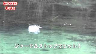 BIOVEXのMoth(モス)で水面炸裂!!実釣動画!!