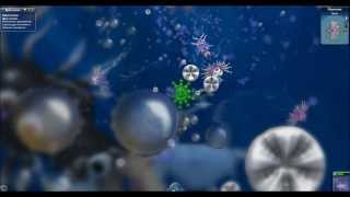 Spore №1 "Зарождение мира"