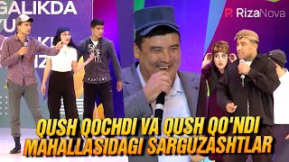 QVZ 2021 | Shov shuv jamoasi | Qush qochdi va qush qo'ndi mahallasidagi sarguzashtlar