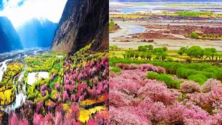 Beautiful Spring - Huahai, China (HD1080p)