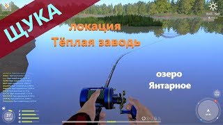 Русская рыбалка 4 - озеро Янтарное - Щука в камышах
