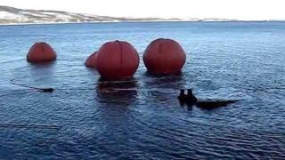 Понтоны парашютные air lift  bags parachute type