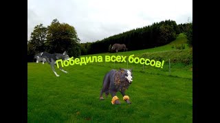 Побеждаю боссов одна)/WildCraft победила всех боссов одна?!