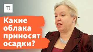 Осадки — Дарья Гущина 