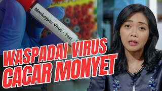 WASPADA!! KASUS VIRUS CACAR MONYET TERUS BERTAMBAH
