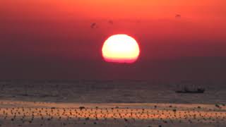 2019년 새해 해돋이 日出/청사포(2019 New Year's sunrise/Cheongsapo,Haeundae)