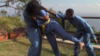 Vovinam  Integral