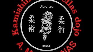 Α.Σ. Δράκος-Moschonas Team-promo by fightsports.gr