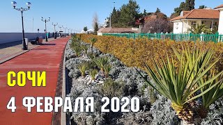 СОЧИ: 4 февраля 2020 | Субтропический рай в отдельно взятом городе