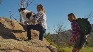 Cheyenne, Wyoming: Authentic Western Culture and Outdoor Adventures