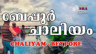 Chaliyam || Beapore || Kadalundi || Fish market ചാലിയം  ബേപ്പൂർ  മാർക്കറ്റ്‌