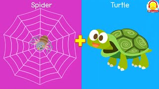 เต่ารวมร่างกับแมงมุม Turtle Spider Fusion Animation + เพลงเต่า เพลงแมงมุม