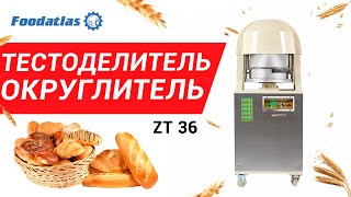 Тестоделитель для мелкоштучных изделий ZT 36 AR