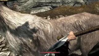 TES V Skyrim Вводим читы на русской версии