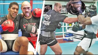 DEONTAY WILDER CRYING OVER TYSON FURY SPARRING ANTHONY JOSHUA!!