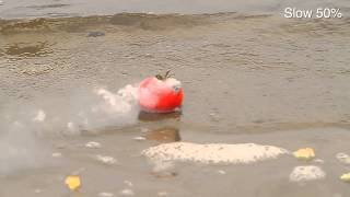 Помидор в воде