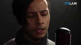 ITSLive - Cats - Hetrosexual Lady