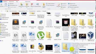 Урок 1. Установка Wordpress локально на Windows