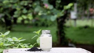 ZERO HAIR FALL "2 INGREDIENT" SCALP CREAM: Improves Scalp Health Fast & Promotes New Hair Growth !