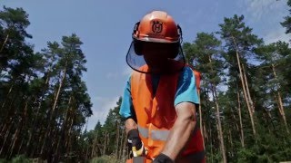 Zawód: operator maszyn leśnych