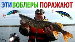 Троллинг щуки.ЭТИ ВОБЛЕРА ПОРАЖАЮТ...