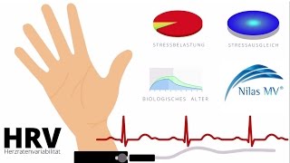 Betriebliches Gesundheitsmanagement mit Nilas MV®