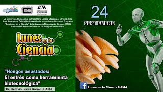 Hongos asustados: el estrés como herramienta biotecnológica