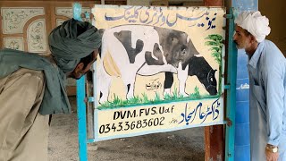 Story of simple people saraiki drama