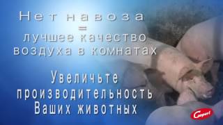 Техлология сепарации навоза в самом здании свинофермы TRAC by COOPERL