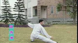 Тайцзи 24 формы. Вид со спины. Учебный фильм из Шаолиня. Tai Chi The 24 Forms Back View