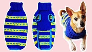 ВЯЖЕМ СВИТЕР ДЛЯ СОБАКИ | DIY DOG SWEATER