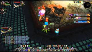 Brang - The Murloc 3v3 arena video!