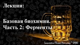Базовая биохимия часть 2: Ферменты