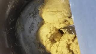 Impasto panettone(3)